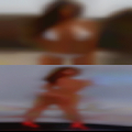 Where find pussy North Carolina