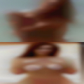 Swingers Cynthiana chestnut